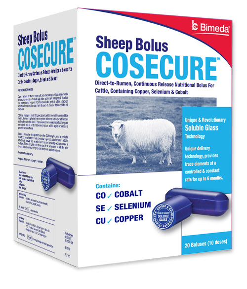 cosecure left sheep