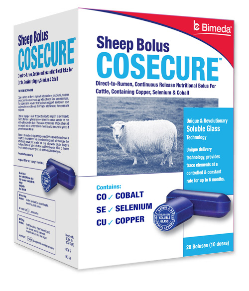 coseicure-sheep