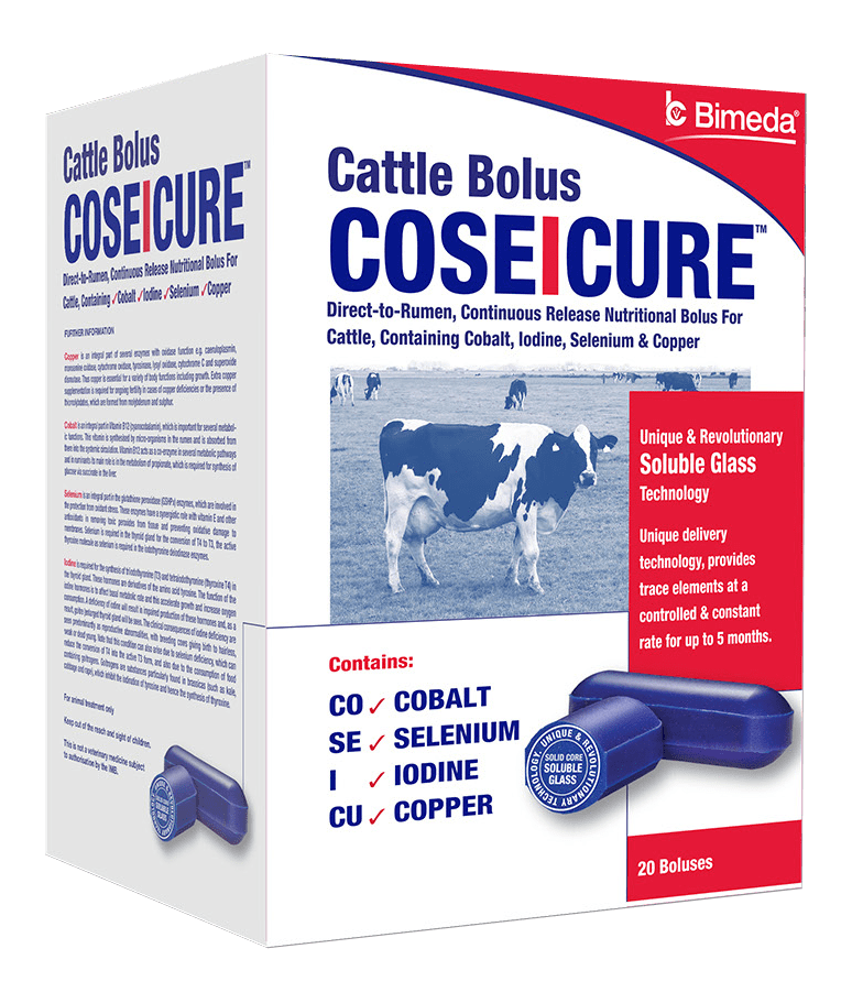 coseicure box