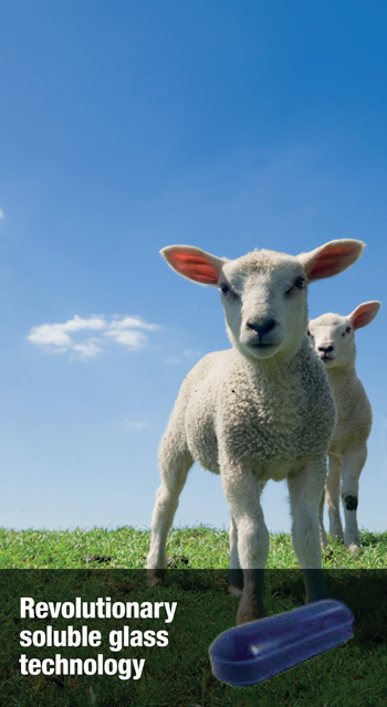 coseicure lamb