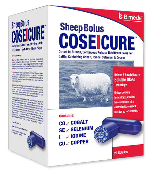 coseicure-sheep