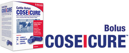 Coseicure